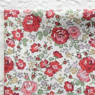 (̵ϥ쥻)͢Хƥեꥷơåɡ30cm50cm