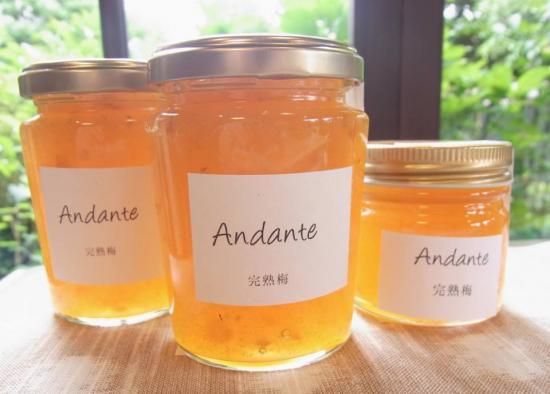 完熟　梅 冷蔵）青森の色梅（完熟梅）[豊後梅ぶんごうめ]2L〜3Lサイズ混合