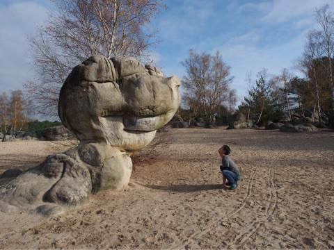 フォンテーヌブローおすすめエリア