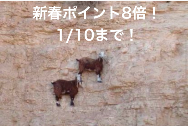 【新春ポイント8倍】あけましておめでとうございます。感謝を込めて1/10までポイント8倍中。