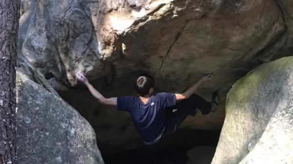 οʿ La Revolutionnaire V162 ֥2ܤϢ³