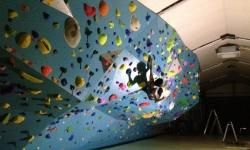 ڥ7ǯե٥- 10OFF/å/One Week Challenge/ޥåե