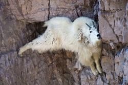 ڥڡ2020/9/22() Ӥ盧å2020 Τ˸åȥ궯