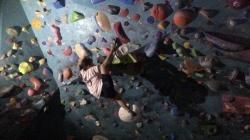 ڥ7ǯե٥ ONE WEEK CHALLENGE! ȯɽ