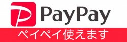 PayPayが使えるようになりました！入力不要で簡単にお支払いが可能に！