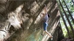 10ǯۤĩ⡼(V14)