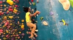 2020/12/17() äܤ륻å Vol.44