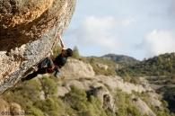 2021/8/3() äܤ륵å2021 ȥåʷɰϺ 