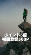 ݥ5ܡϿ300ݥȡ1231ޤǡ