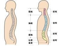 Բư⤤ȥѥեޥ󥹤夬ꡢ椬ʤʤ롪