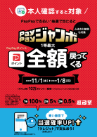 PayPayPayPayܡäƤ롪