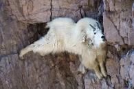 ڱĶ2025ǯGWĶΤΤ餻