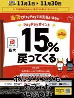11ϥäܤɧpayapay15%äƤ