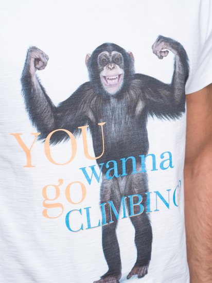 Chillaz(饹) T-Shirt Cult Monkey(ȥ󥭡) 2016ǯǥ ᡼88