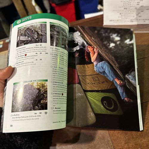 Magic Wood Bouldering Guidebook(マジックウッドボルダリングガイド) ※スイス ※2023年最新版 ※メール便88円