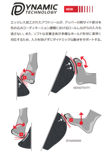 SPORTIVA(ݥƥ) THEORY WOMAN(꡼ ޥ) Ф⼡Ǽ¸ 륿פФб