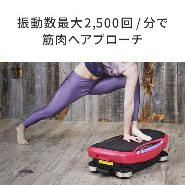 振動系フィットネス機器 3D スーパーブレード PRO ダイエット 筋トレ 新品