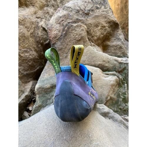 evolv(イボルブ) Ashima×Brain Dead Zenist(アシマxブレイン