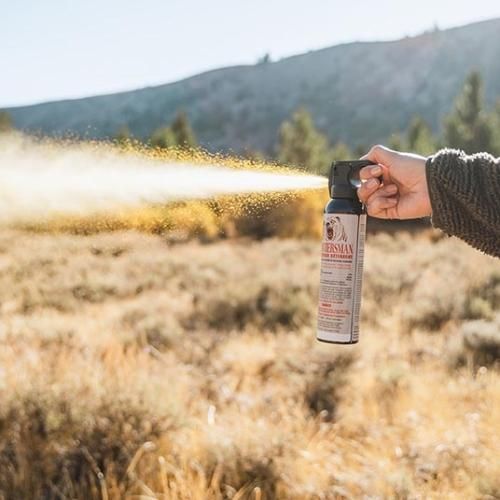 SABRE(С) BearSpray(٥ץ졼) ץ졼 䥤Υ ץɽåץ졼 ȳǹ٥ʮ͵Υ Ȥˤ ̤