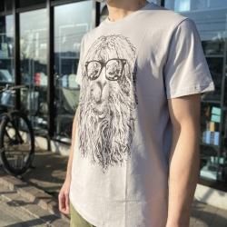 NOGRAD(Ρ졼) SPITTER TEE(ԥåƥ) 2022ǯǥ ˥ååȥ100 ᡼б