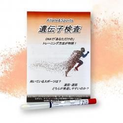★美品★STANLEY スタンレー真空コーヒーシステム0.5L フレンチプレス STANLEY(スタンレー) 真空コーヒーシステム0.5L ※フレンチプレス