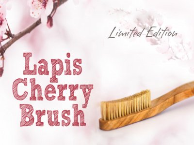 Lapis(ԥ) Wood Brush(åɥ֥饷) Ρޥ/꡼() ֤ϥɥ ᡼88