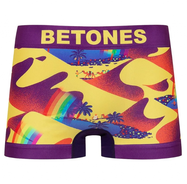 <img class='new_mark_img1' src='https://img.shop-pro.jp/img/new/icons8.gif' style='border:none;display:inline;margin:0px;padding:0px;width:auto;' />BETONESOASIS PURPLE