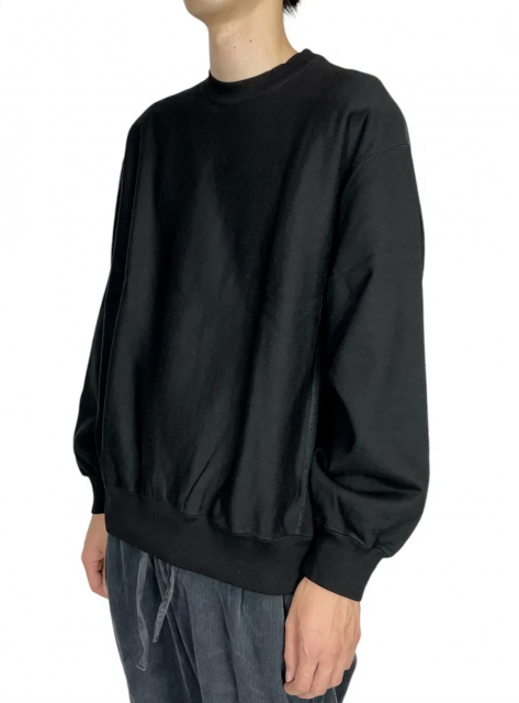 <img class='new_mark_img1' src='https://img.shop-pro.jp/img/new/icons8.gif' style='border:none;display:inline;margin:0px;padding:0px;width:auto;' />blurhms ROOTSTOCKSoft&Hard Sweat Crew-Neck P/O Big