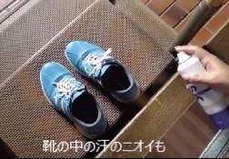 BSKバイオスプレー 220m
