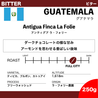 【250g】グアテマラ アンティグア ラ・フォリー