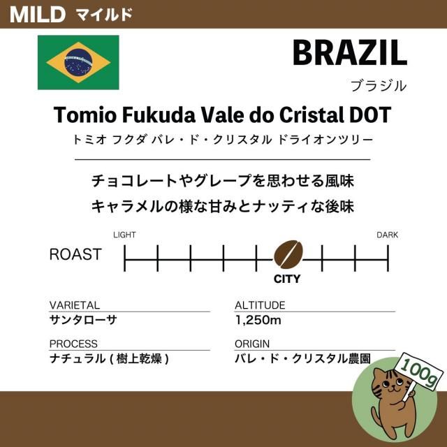 100gۥ֥饸 ȥߥ ե Х졦ɡꥹ DOT