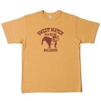 WAREHOUSE & CO. / Lot 4601 SWEET WATER 