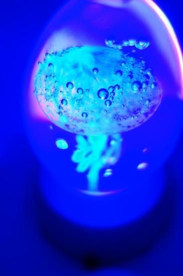 即納！未使用 海月（くらげ）のオブジェ ワタナベカズオ