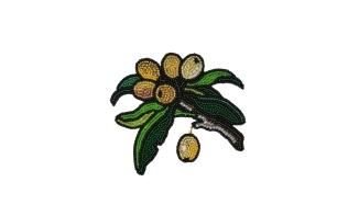 BROOCH
