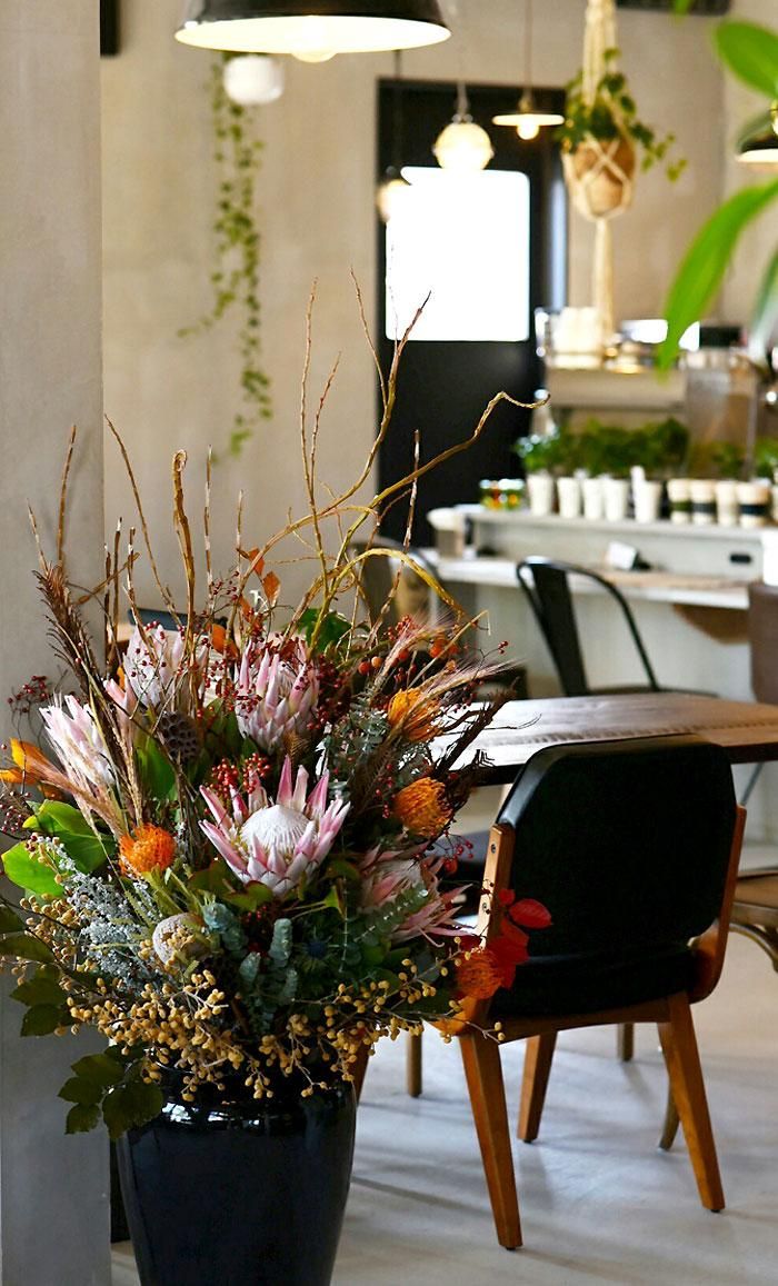 Display dry flower｜mermaid＋Flowers