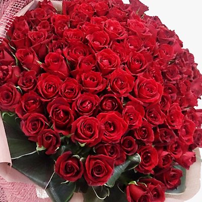 赤 バラ 100本の花束 ブーケ ローズ 薔薇 生花 レッド 情熱 愛の告白 プロポーズ 卒業式