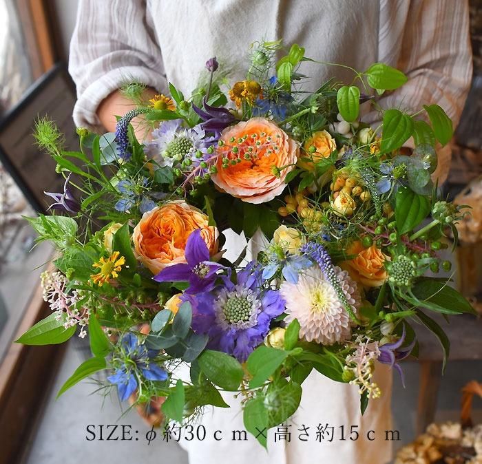 コットンオックス ] modern English garden｜モダン