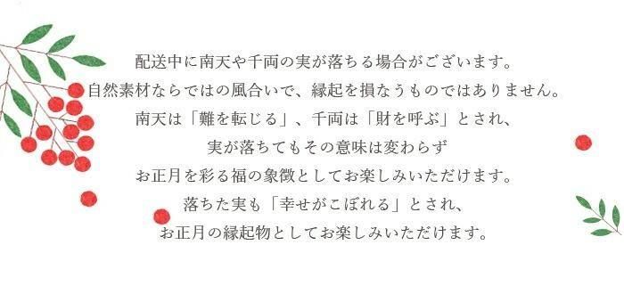 16.大王松しめ縄 Amazon.co.jp: 迎春 お正月 しめ縄 しめ飾り 大王松かざり 玄関 飾り