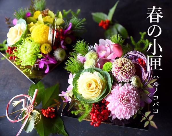   ޽ ǯۤ ޽ե դξҺ ϥΥХ MIX顼(ϥեꥹȤޤ)  󥸥  ǯ ޽  ˤ ޽  ̵