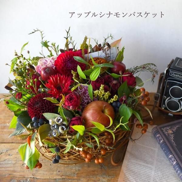  󥸥 ߸ꥷ٥롧åץ륷ʥХå