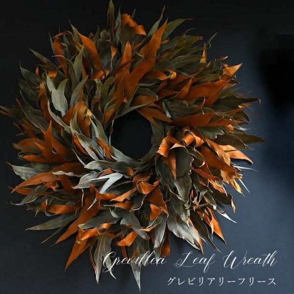 ¥É¥é¥¤¥Õ¥é¥ï¡¼ ¥ê¡¼¥¹ ¸¼´Ø¾þ¤ê ¥É¥é¥¤¥Õ¥é¥ï¡¼ ¥ê¡¼¥¹ ¥°¥ì¥Ó¥ê¥¢¡¦¥ê¡¼¥¹