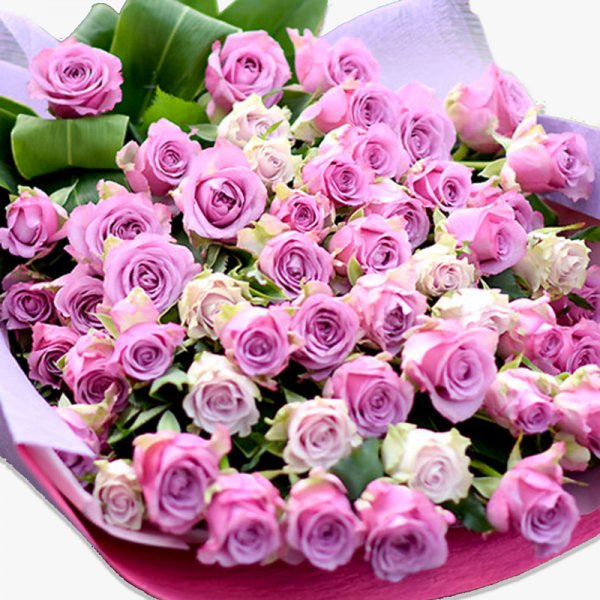 Bouquet of 70 purple roses｜mermaid＋Flowers