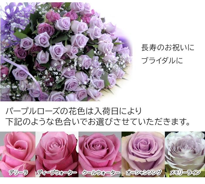 ソフトパープル　サヴォンローズ　花束　70本 0edb89e229b4d124f71ec8db8ffa9a