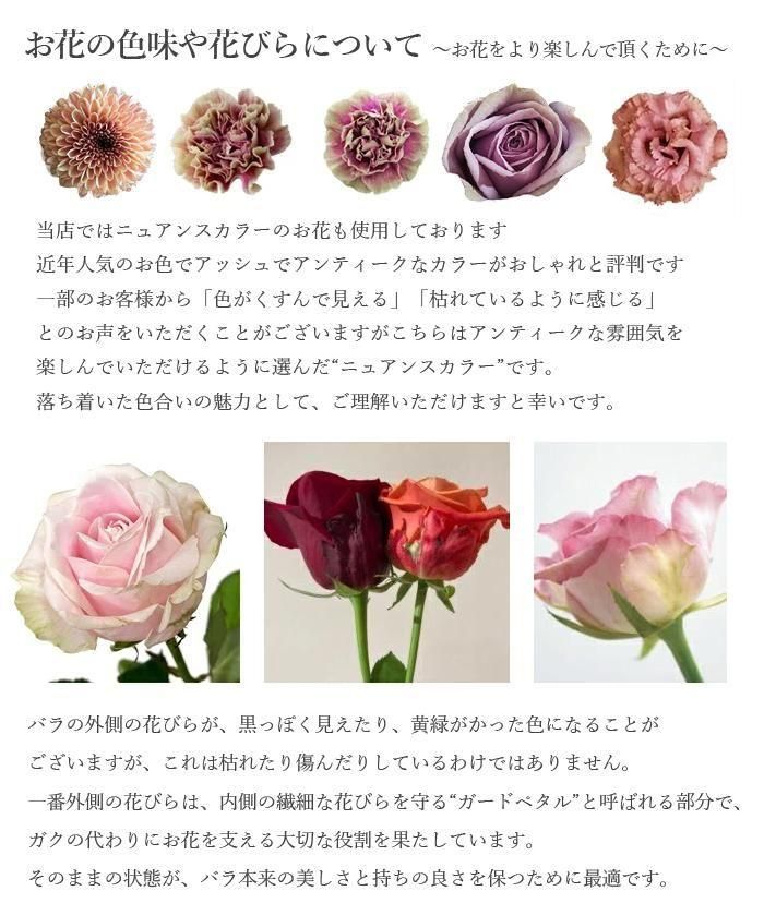 Bouquet of 70 purple roses｜mermaid＋Flowers