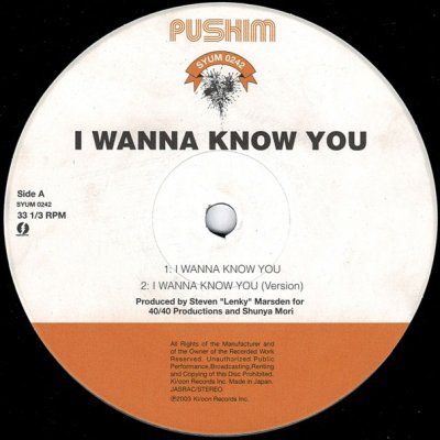 A: I Wanna Know You / Pushim - レゲエレコードストア NEGRIL - 名曲