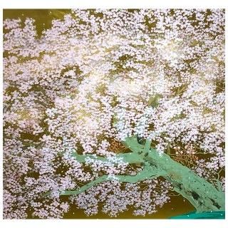 中島千波 - Gallery Gen-so-ka 中島千波 - Gallery Gen-so-ka