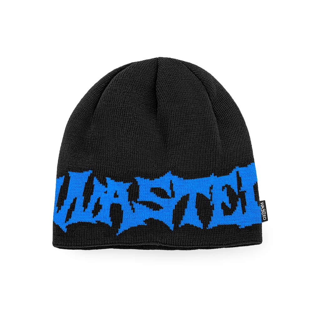 WASTED PARIS ウェイステッドパリス BEANIE ニット帽 ビーニー