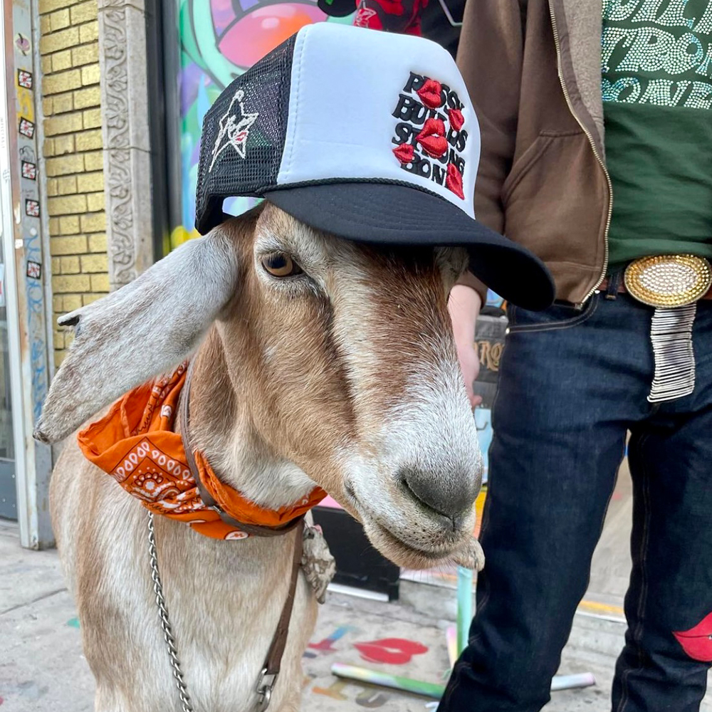 LA ROPA(ラ ロパ)商品ページ - Mono PBSB Trucker Hat - White