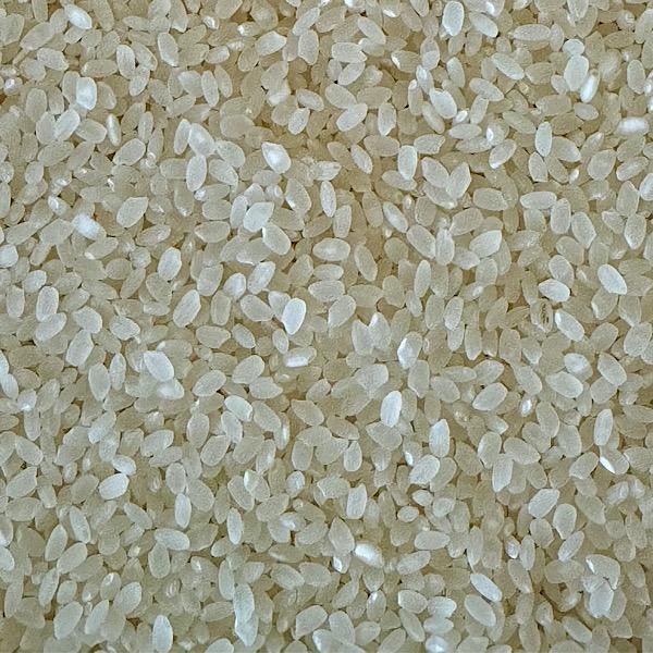 自然栽培 白米 | あいちのかおり - 無農薬茶の杉本園｜農薬も