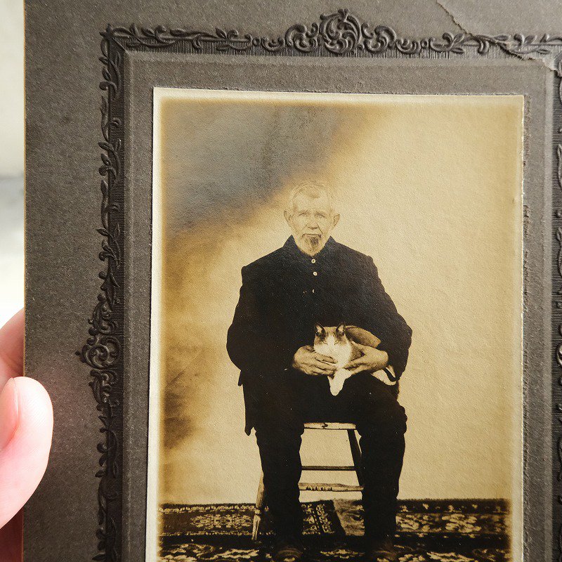 Antique Old Man & Cat Photo